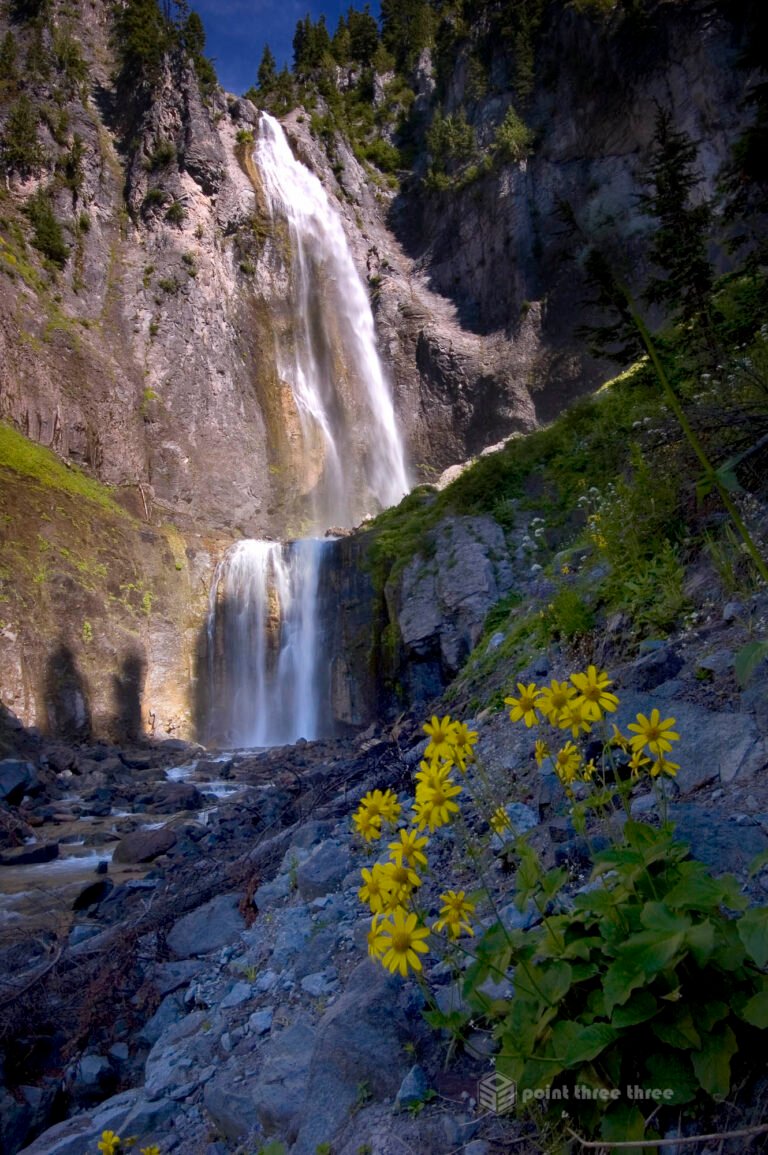 Comet Falls and wildflowers in Mount Rainier National Park