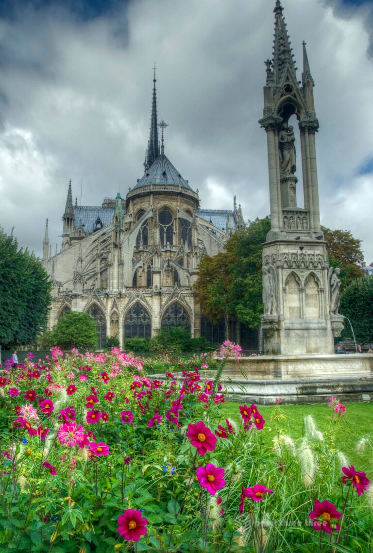 Nortre Dame Cathedral with flowers in the foreground