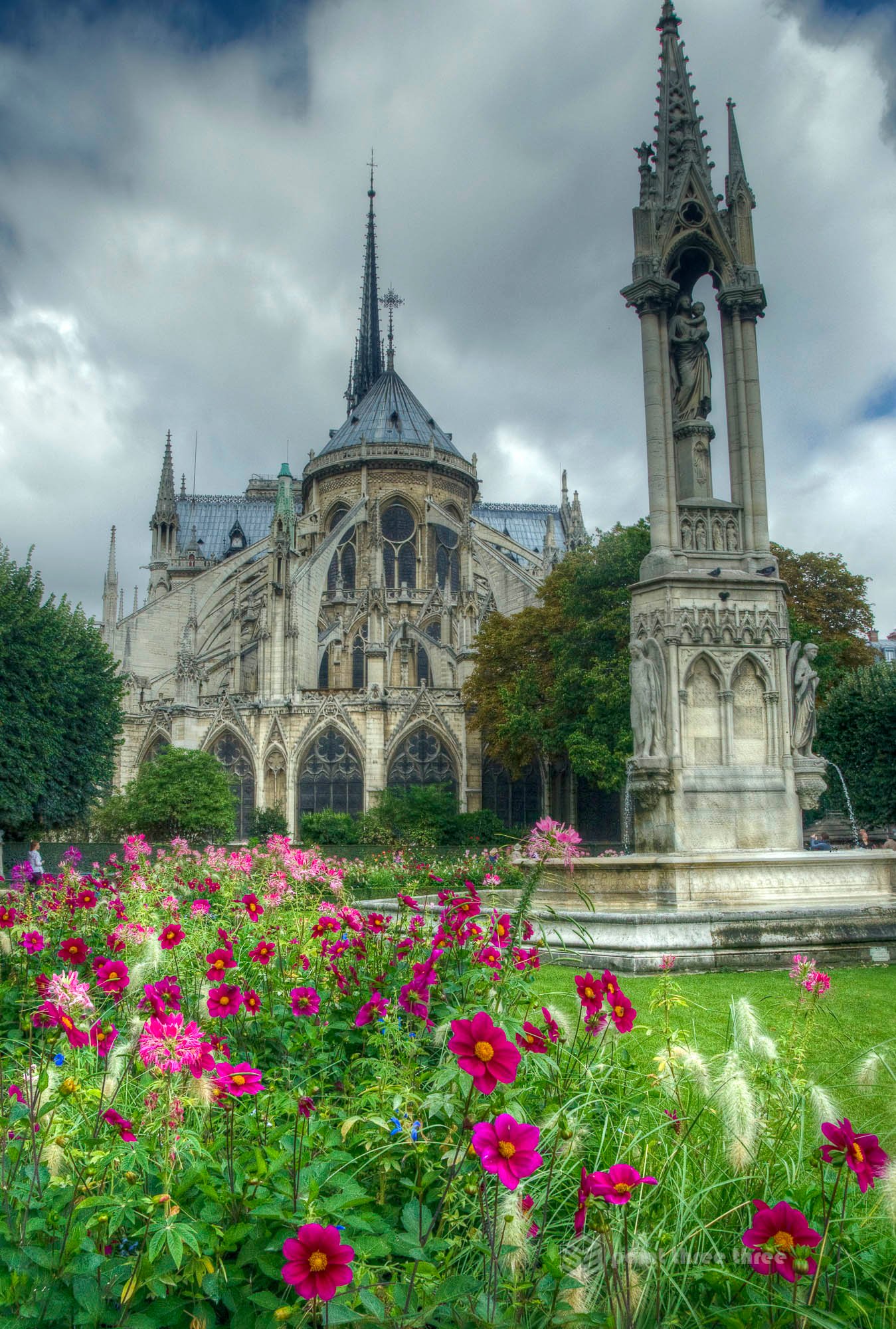 Nortre Dame Cathedral with flowers in the foreground