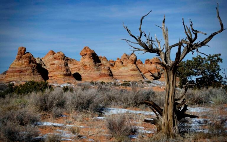 White Pocket in Vermillion Cliffs National Monument in Arizona