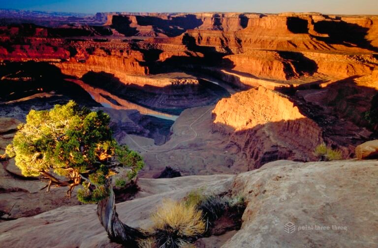 Deadhorse State Park sunrise, Utah