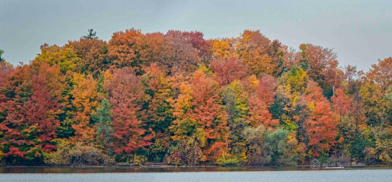 Heart Lake Fall Colors in Brampton, Ontario Canada