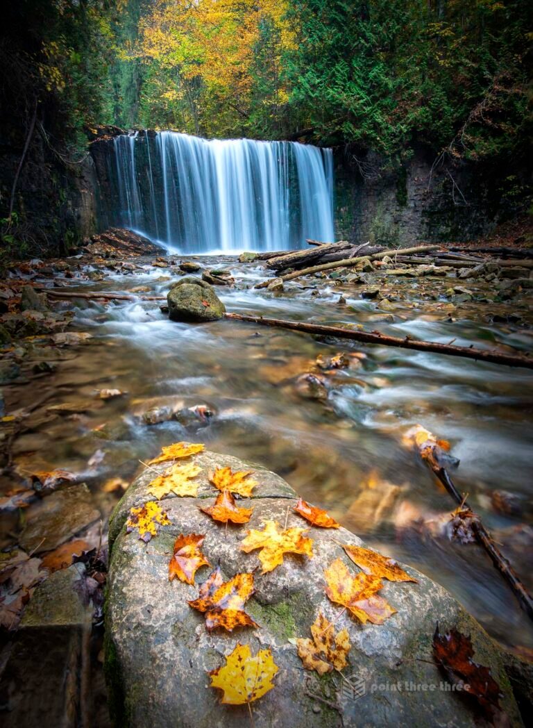 Fall Colors and Hogg's Waterfall, Ontario