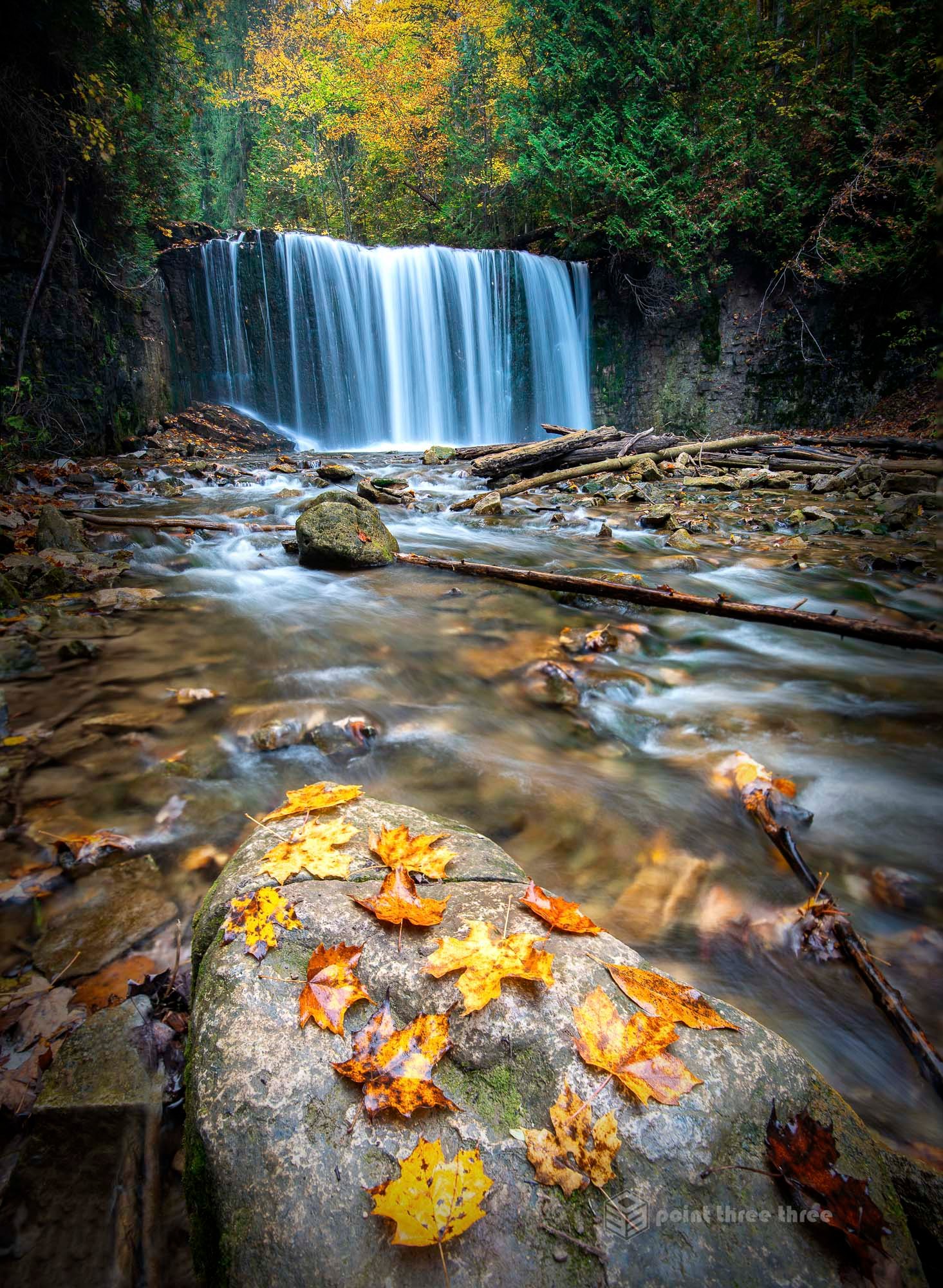 Fall Colors and Hogg's Waterfall, Ontario