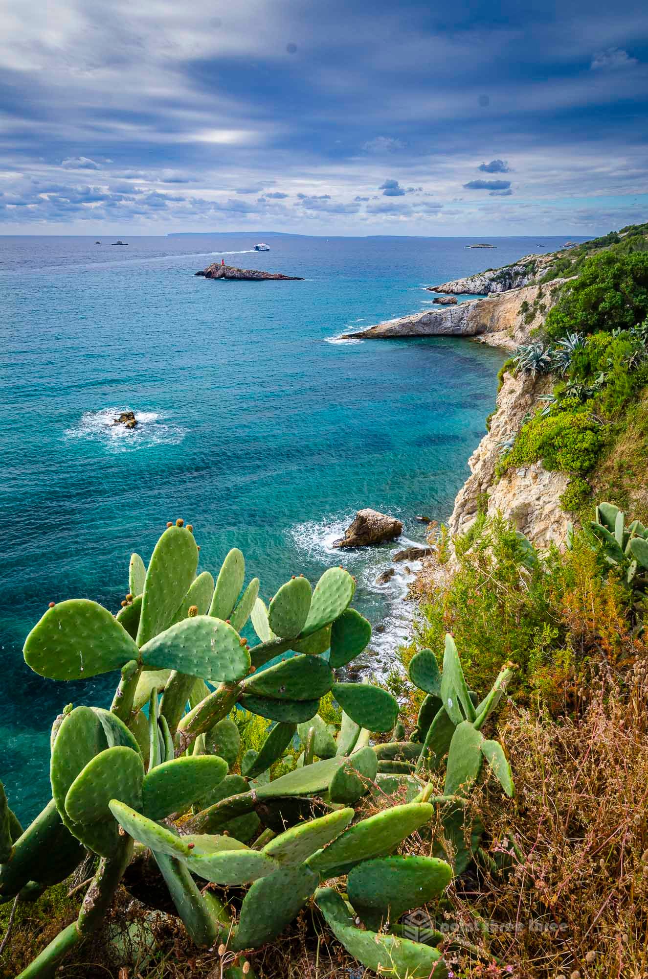 Ibiza coastline and cactus Spain