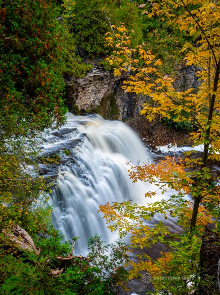 Fall Colors and Jones Waterfall, Ontario