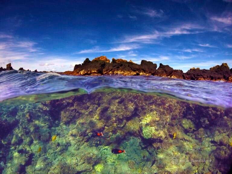La Perouse Bay snorkeling, Maui, Hawaii