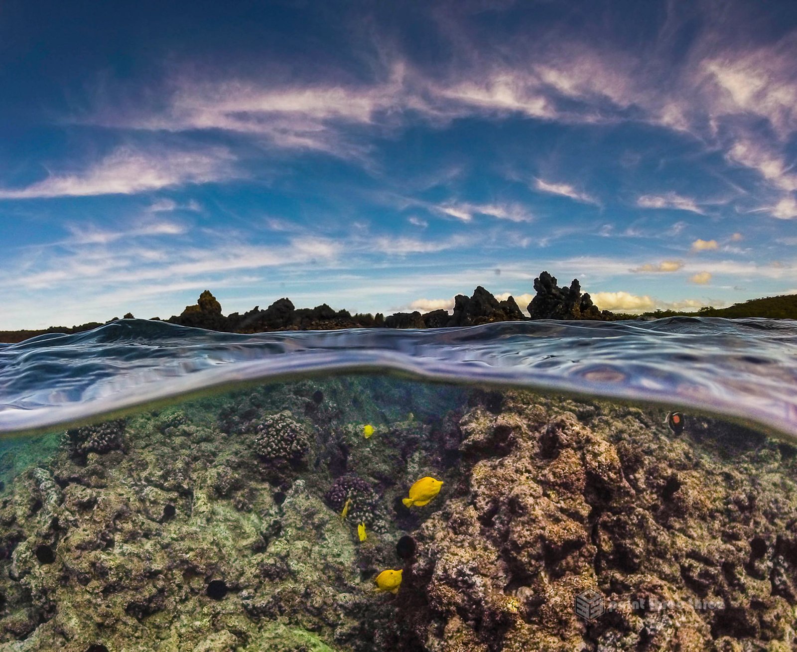 La Perouse Bay snorkeling, Maui, Hawaii