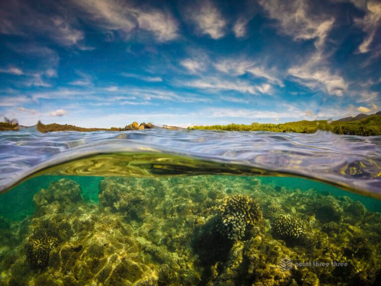 La Perouse Bay snorkeling, Maui, Hawaii