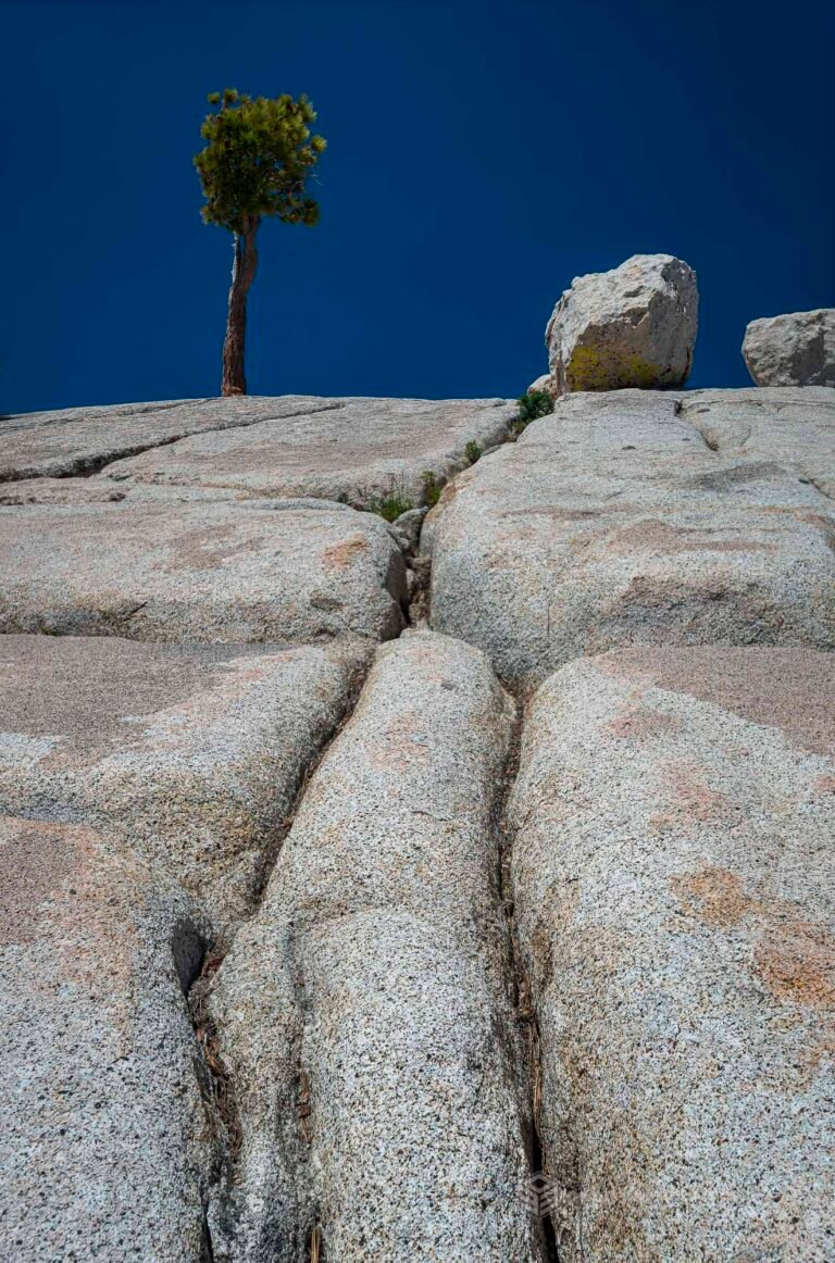 Olmsted Point, Yosemite National Park