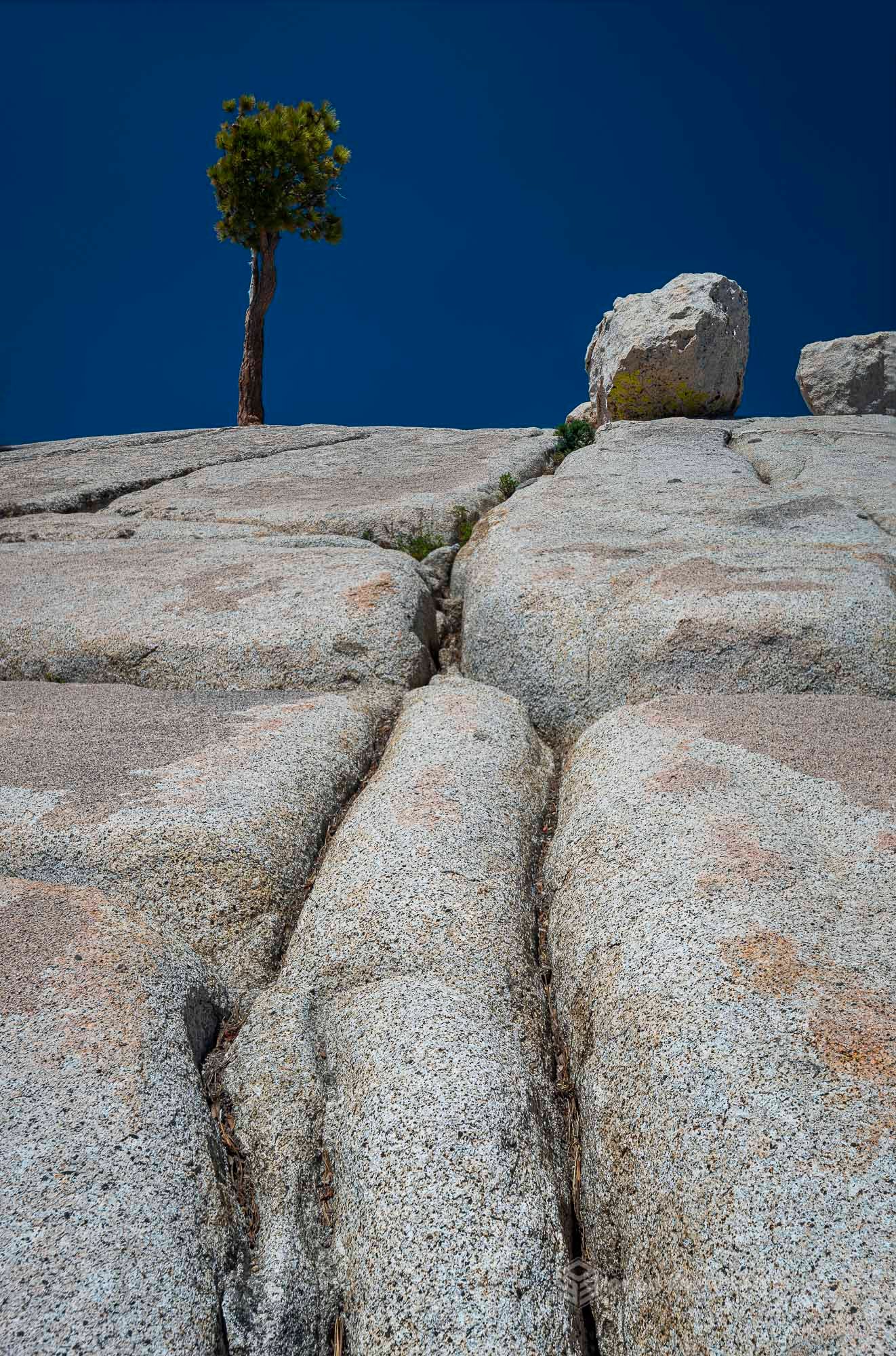 Olmsted Point, Yosemite National Park