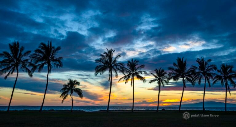 Palm Trees Sunset Kihei Maui