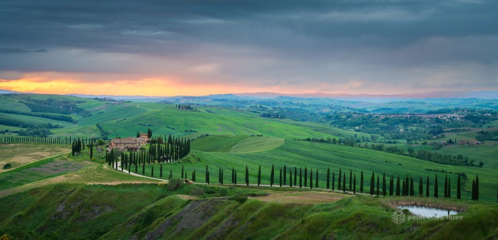 The winding S-curve driveway lined with cypress trees leading to Agriturismo Baccoleno at sunset in the Crete Senesi region of Tuscany.