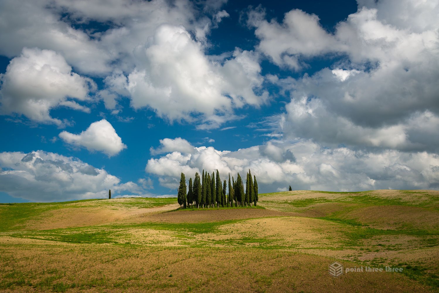 Iconic cypress grove in rolling hills of Val d'Orcia near San Quirico d'Orcia Tuscany Italy with dramatic clouds