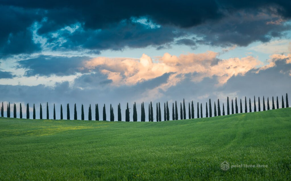 Symmetrical row of cypress trees leading to a Tuscan farmhouse at Poggio Covili in Val d'Orcia, Italy.