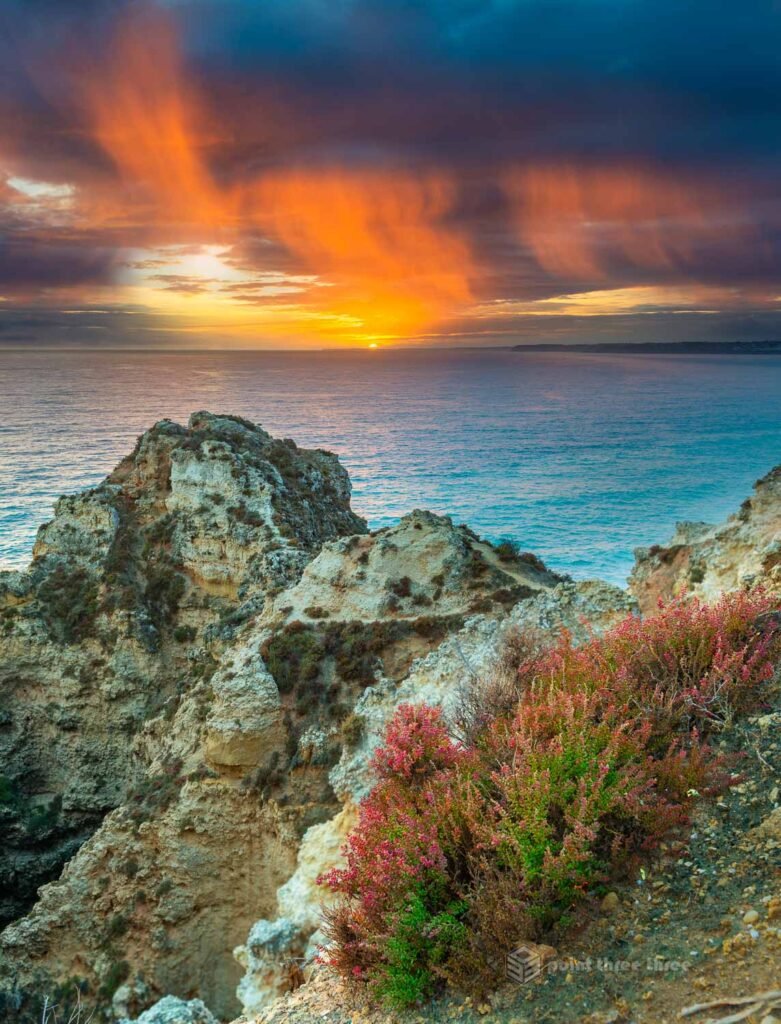 Dramatic fiery sunset over the Atlantic Ocean from the clifftops of Ponta da Piedade, Lagos, Algarve, Portugal, with pink wildflowers and weathered limestone rocks in the foreground and vivid orange and red clouds overhead.